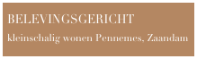 BELEVINGSGERICHT kleinschalig wonen Pennemes, Zaandam