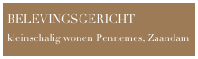 BELEVINGSGERICHT kleinschalig wonen Pennemes, Zaandam